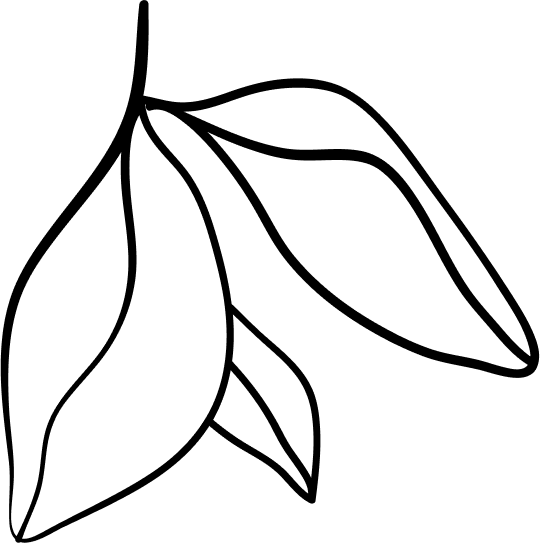 Vector-1 image