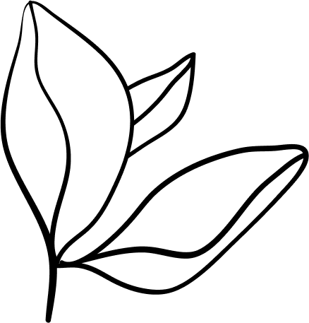 Vector-10 image