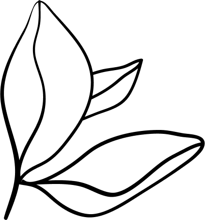 Vector-12 image