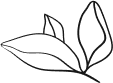 Vector-up image